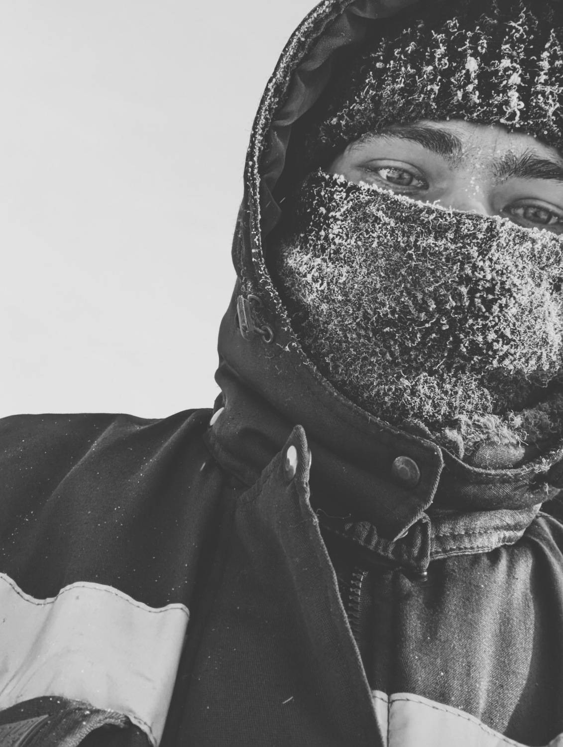 Photo #8056110