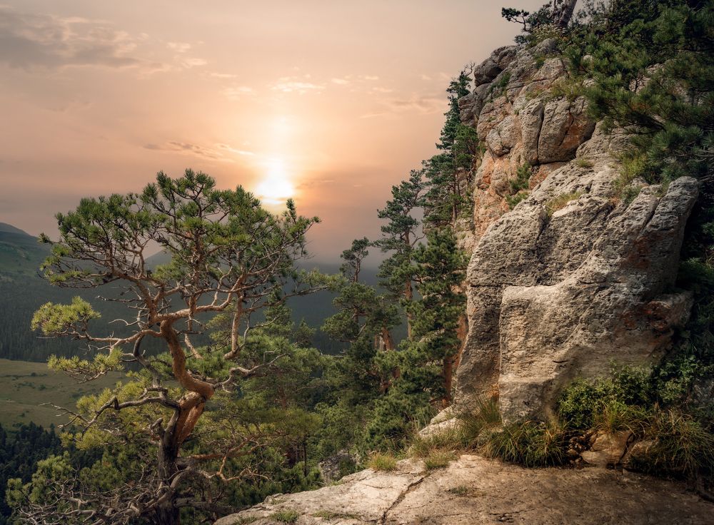 Фотография автора Константин Яковлев