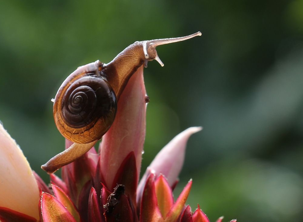 Photograph by Dhananjay J Thakur