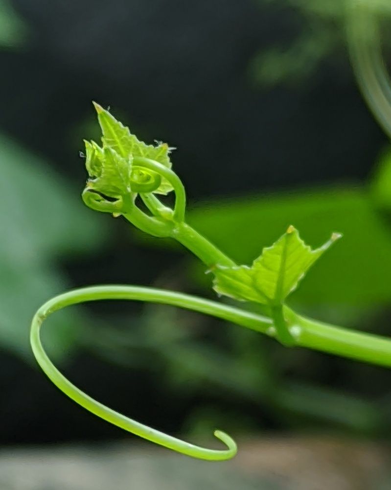 Фотография автора Subham Durgey