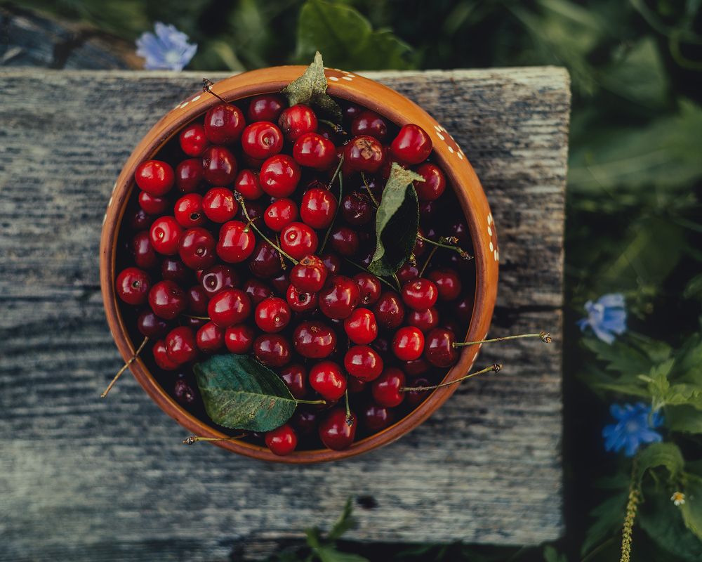 Photograph by Алена