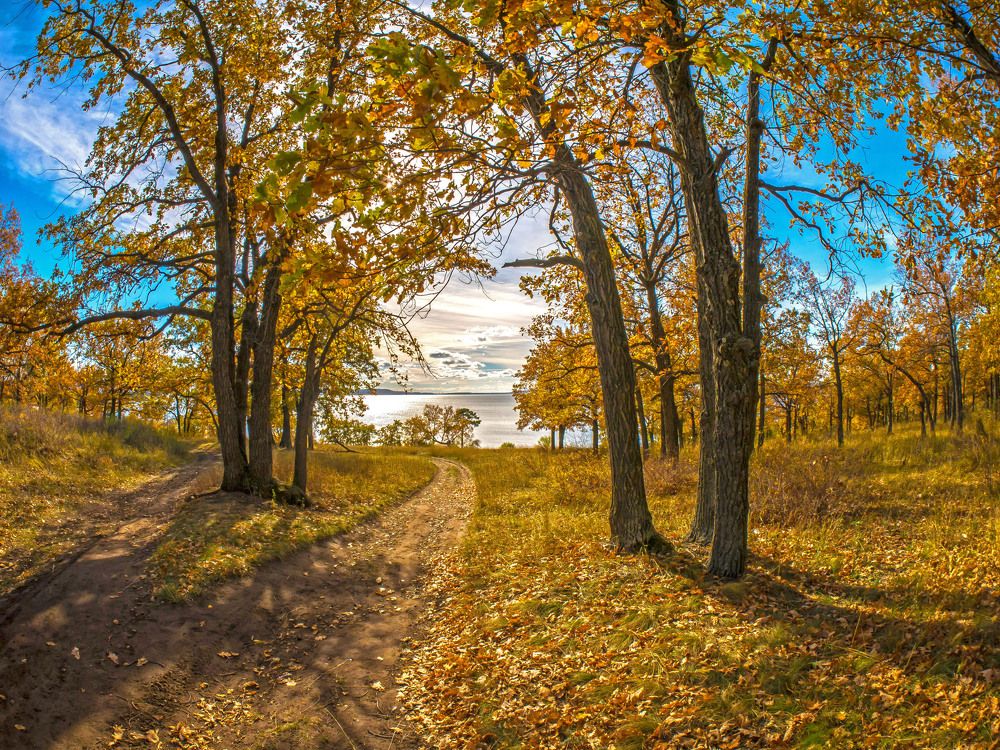 Photograph by Василий Губский