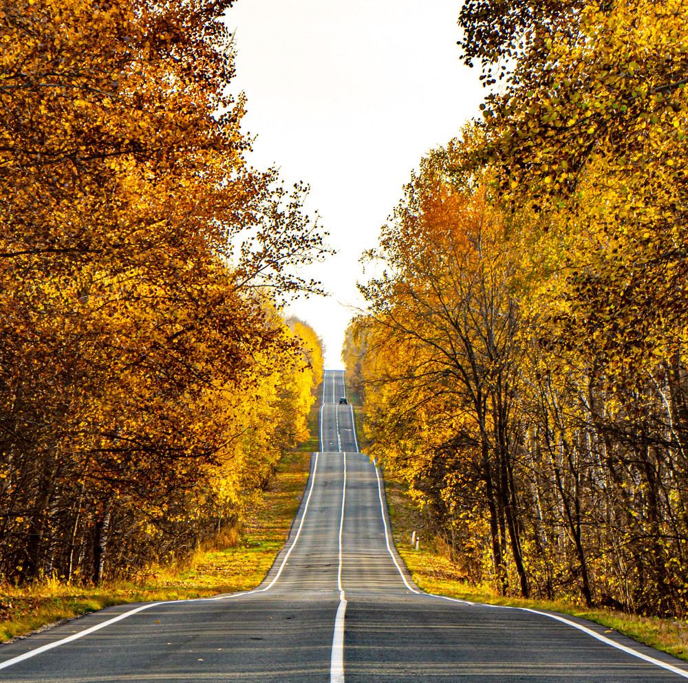 Photograph by Василий Губский