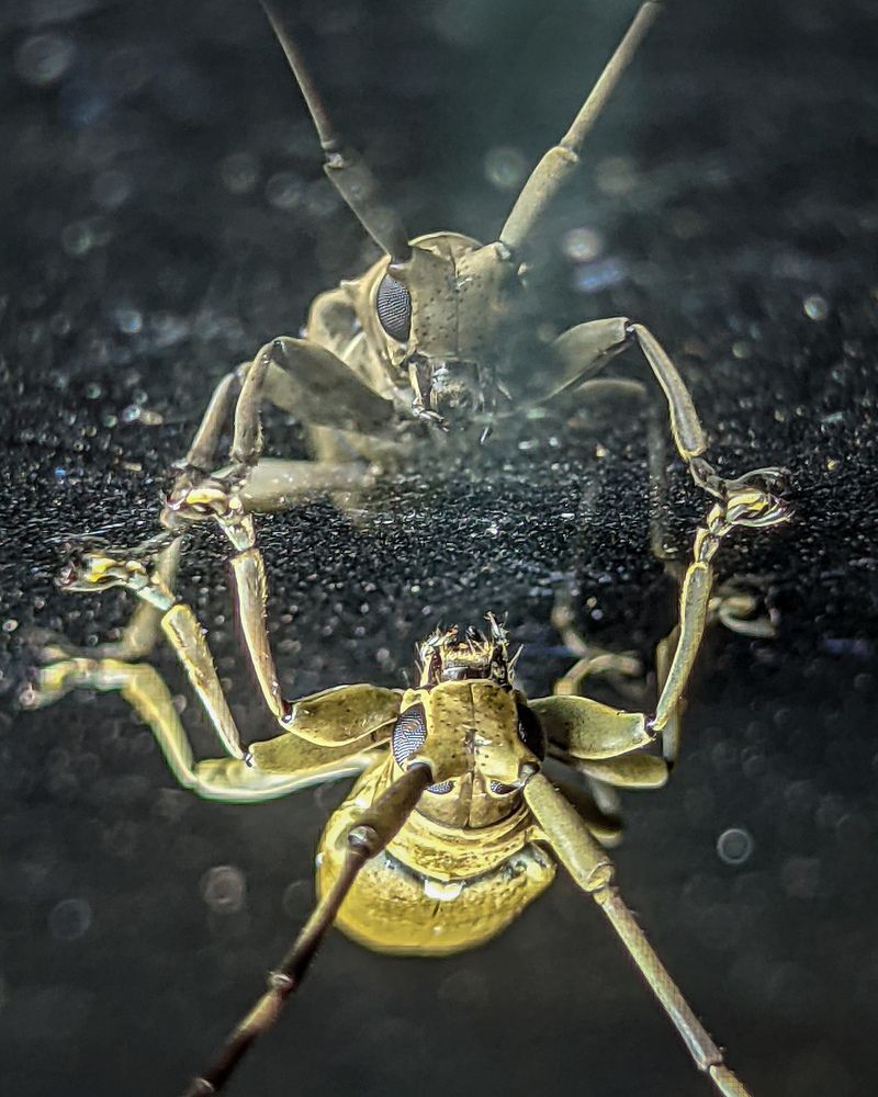 Photograph by Vaishnav K V