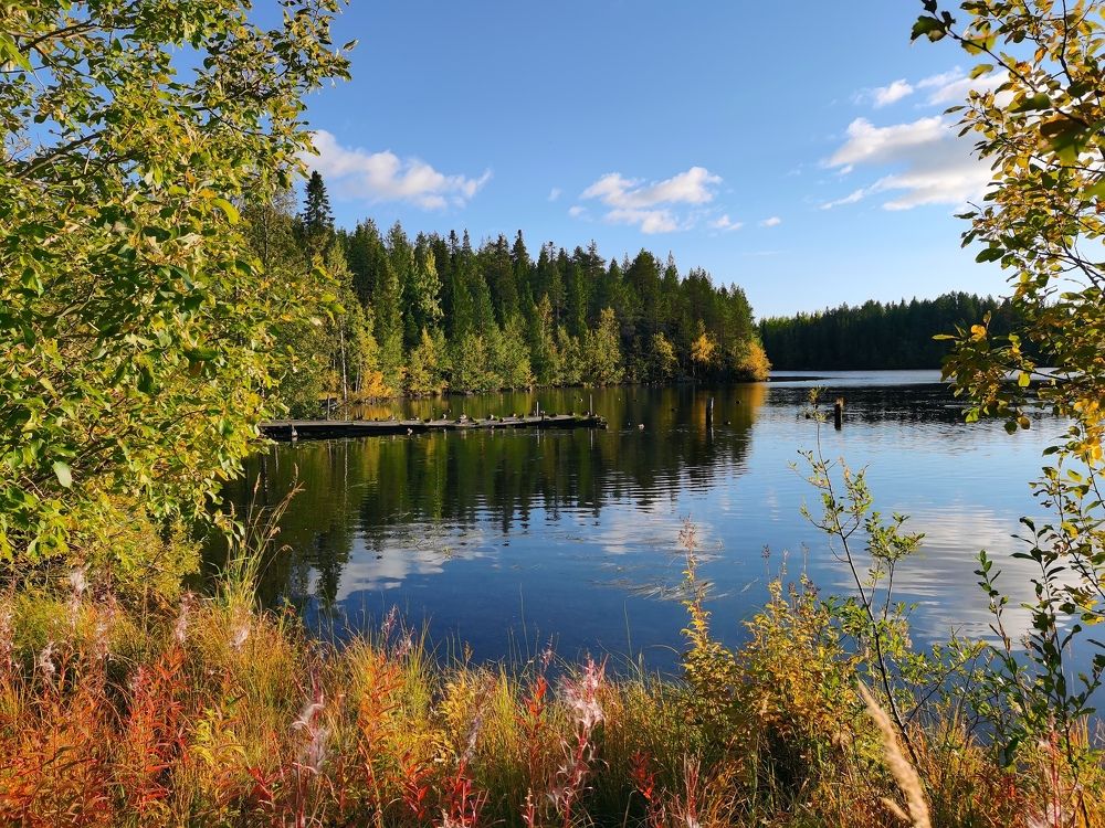 Золотая осень на Кольском полуострове
