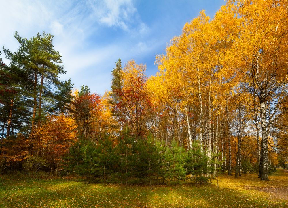 Photograph by Denis Churin