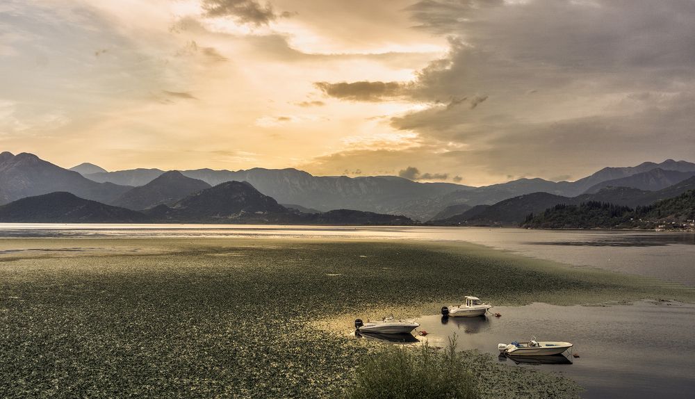 Фотография автора Milena Ivanova