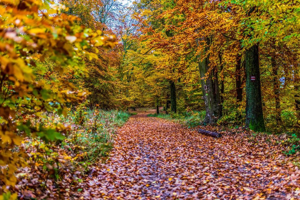 Photograph by Ludovit Repan