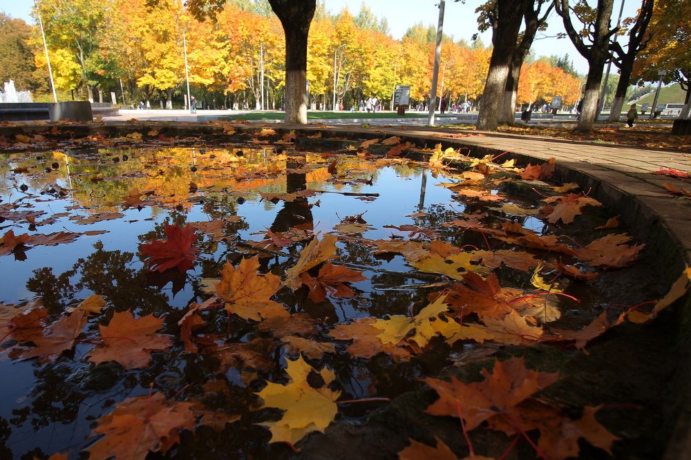 Фотография автора Геннадий Титов
