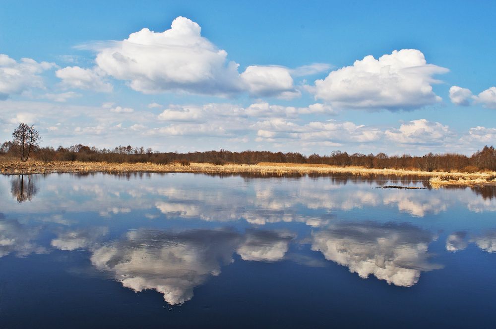 Весенние отражения