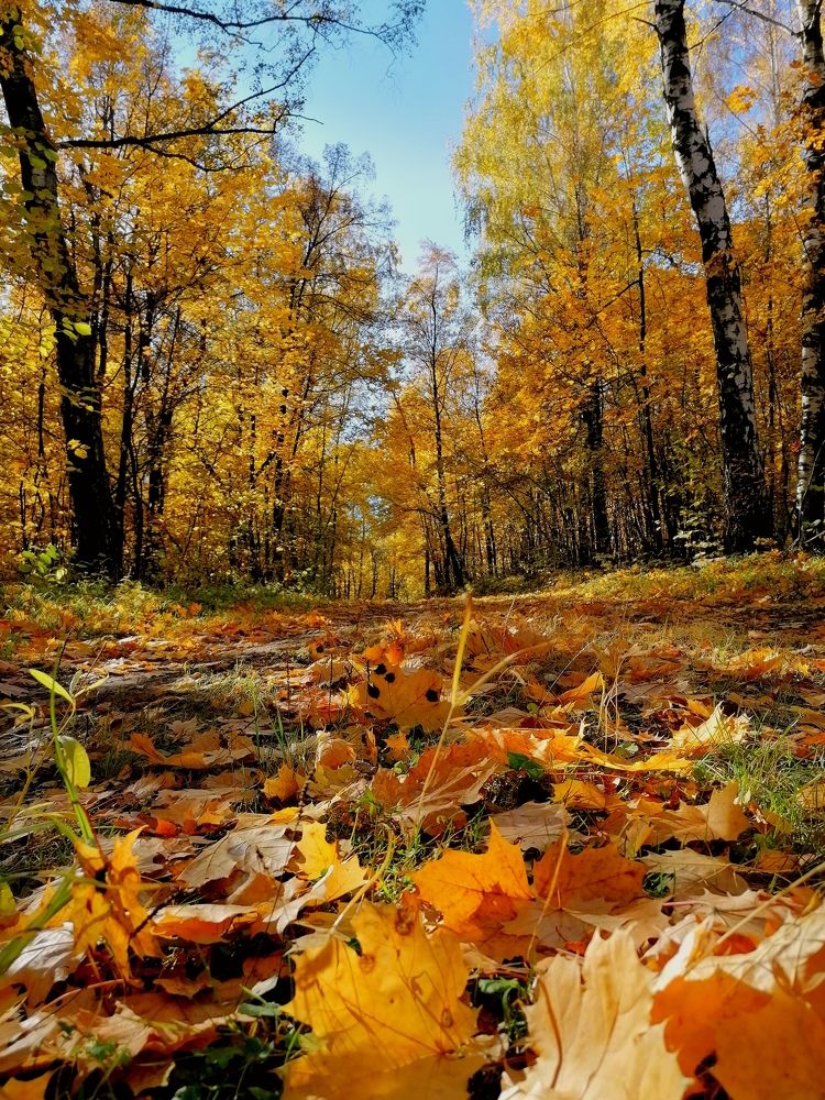 Photograph by Марина Шамова