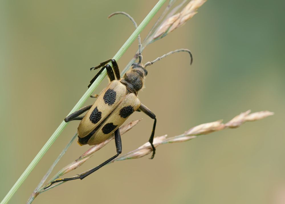 Photograph by Олег Тыркин