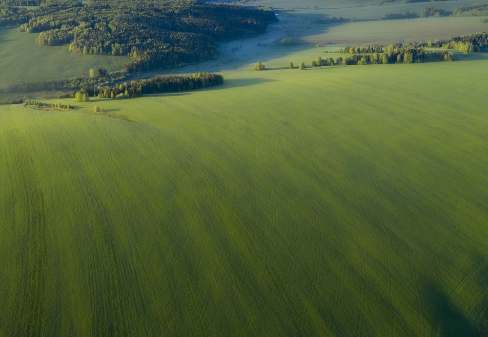 Photograph by Александр Чазов