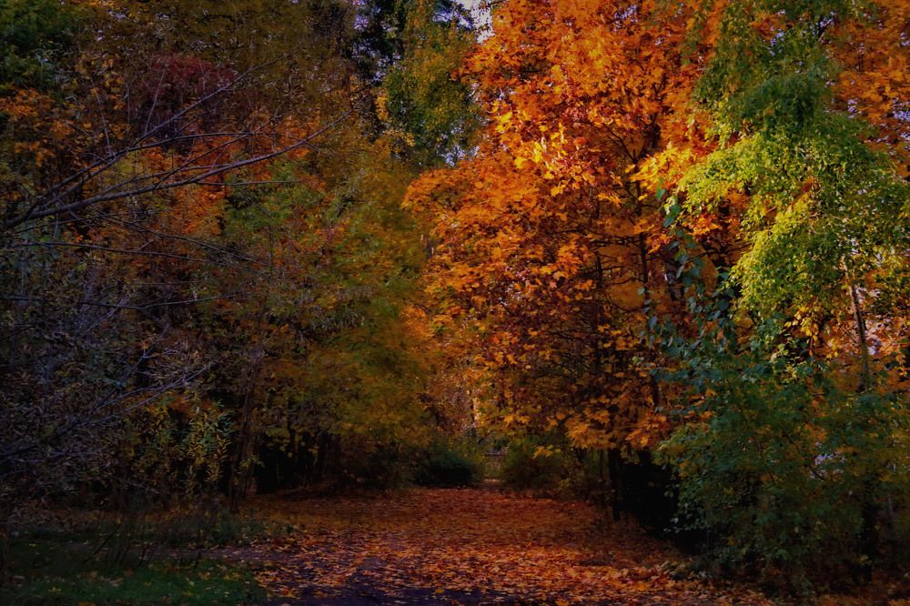 Photograph by Aleksandr Larionov