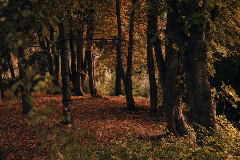 Photograph by Ксения Кузнецова