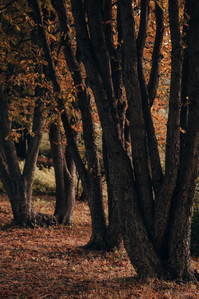 Photograph by Ксения Кузнецова