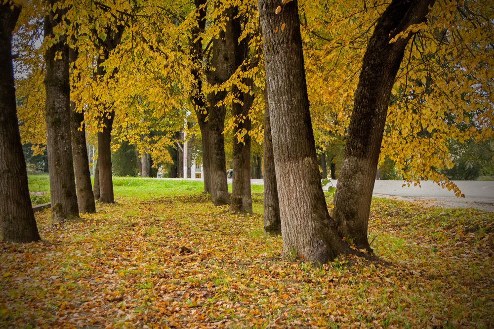 Photograph by Владимир Иванович