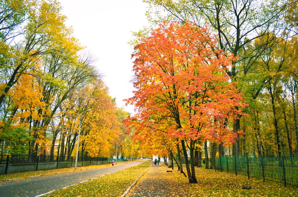 Photograph by Евгений Юдин