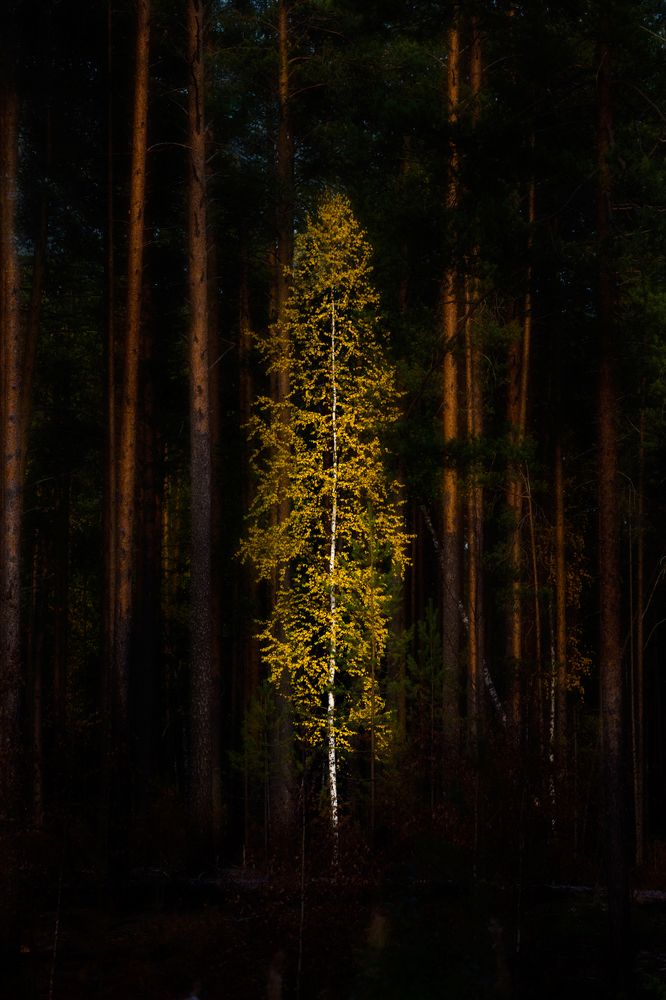 Photograph by Александр Чазов