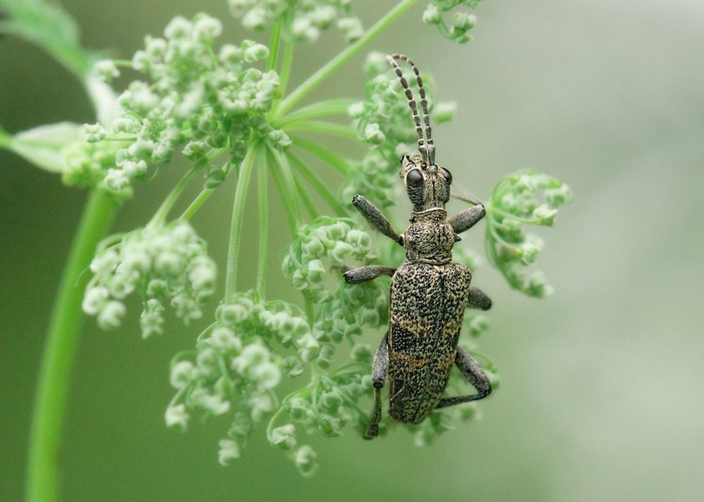 Photograph by Олег Тыркин