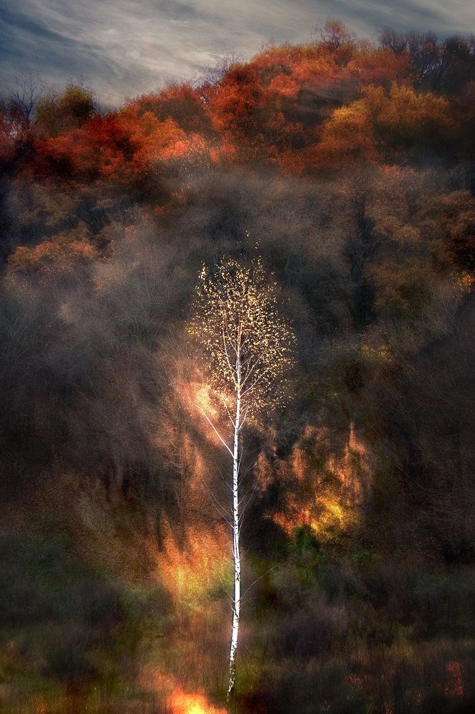 Огонь осени