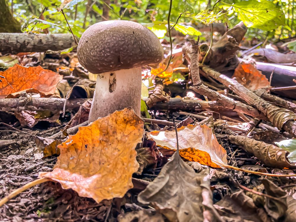 Photograph by Ксения Левченко