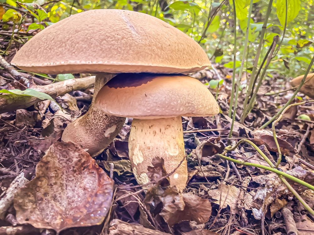 Photograph by Ксения Левченко