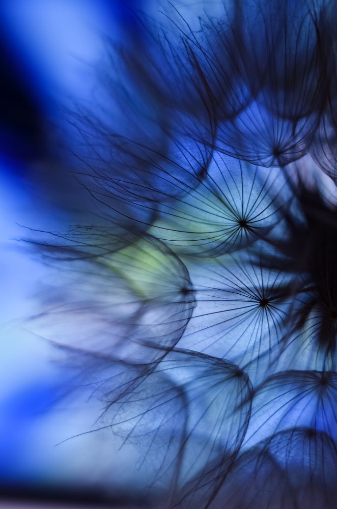 Photograph by Ирина Никульча