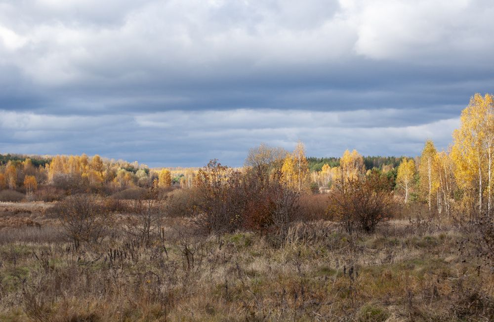 Photograph by Ольга Бондаренко