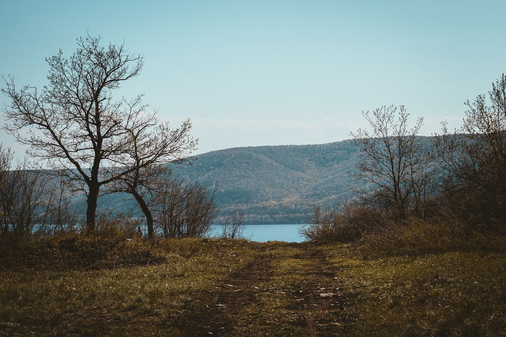 Photograph by Ксения Кузнецова