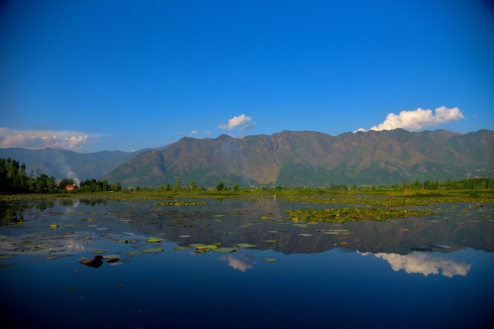 Photograph by Vijay Singh Chandel