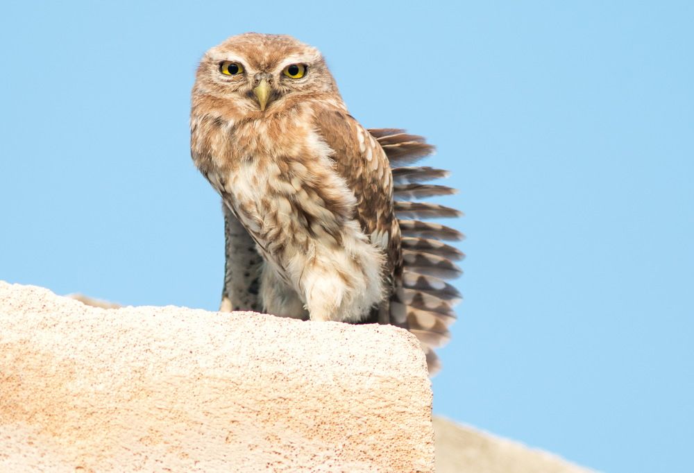 Photograph by Александр