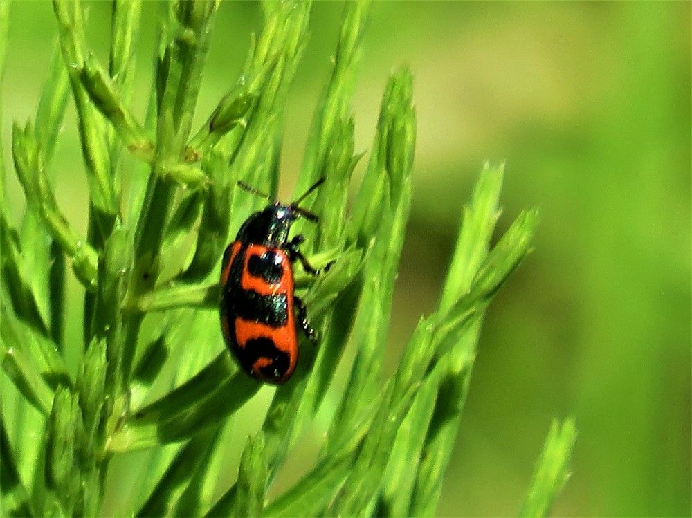 Photograph by Людмила Кононова