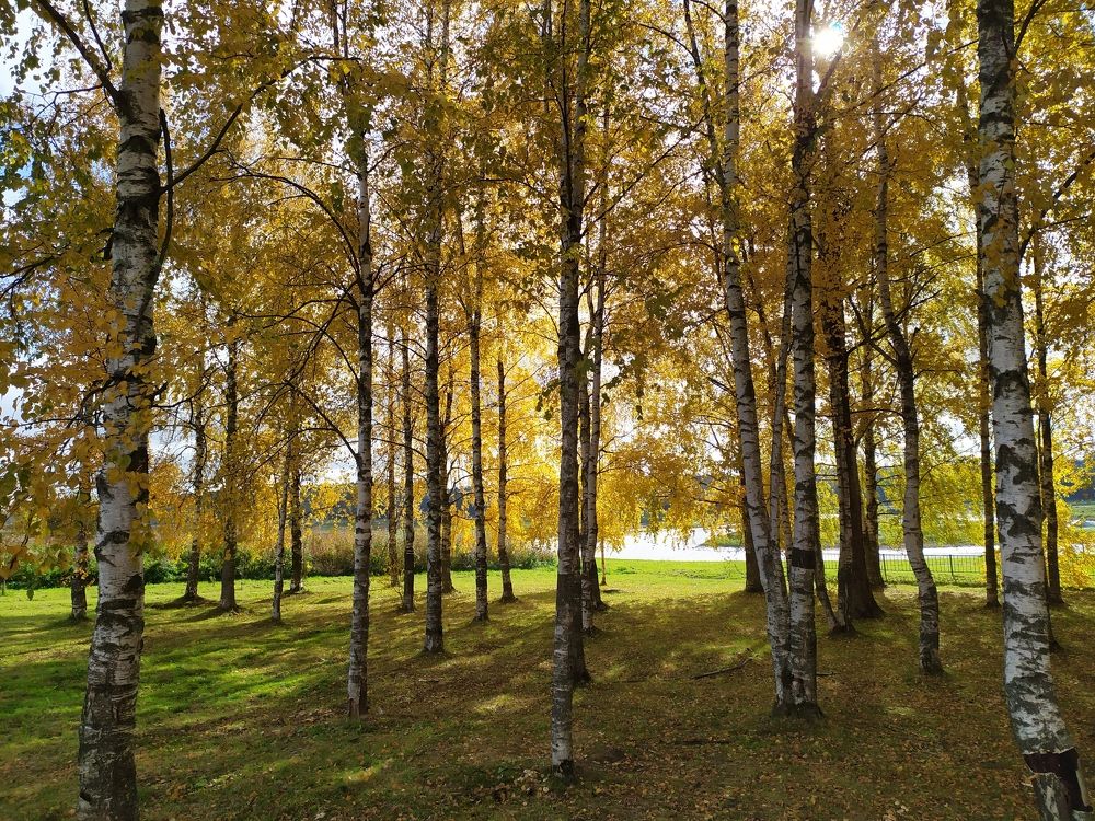 Photograph by Юлия Смирнова