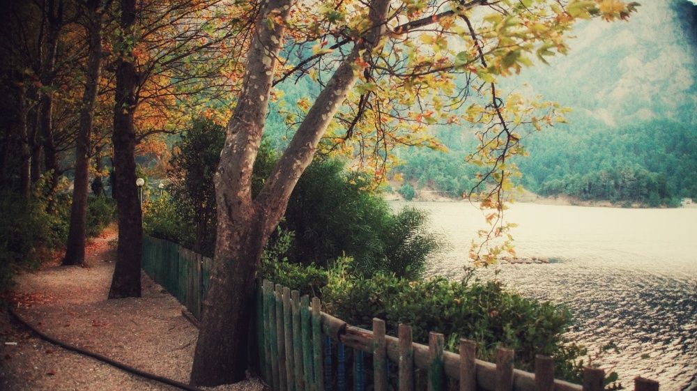 Photograph by Alp Aysgl