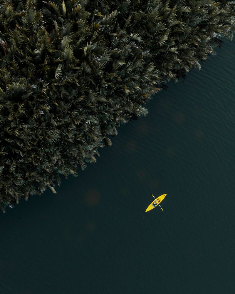 Фотография автора Amal Prasad