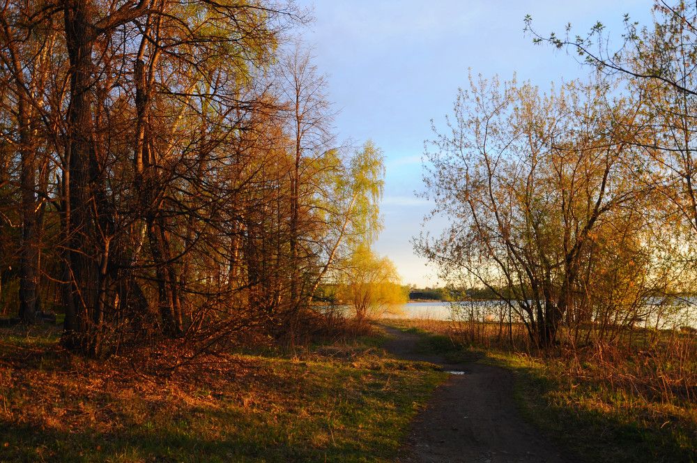 Photograph by Наталия Акимова