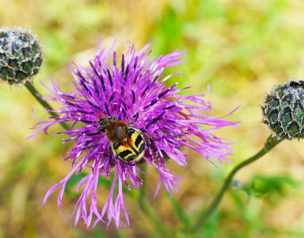 Photograph by Анатолий Максимов