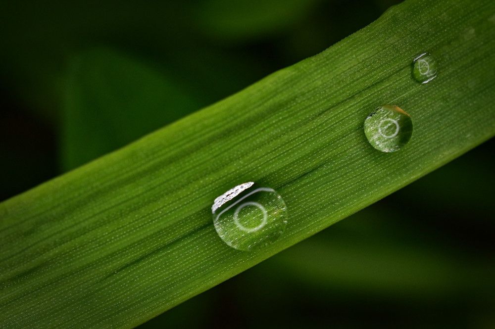 Фотография автора Григорьев Алексей