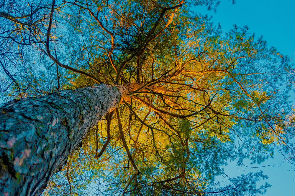 Photograph by Александр Катюрин