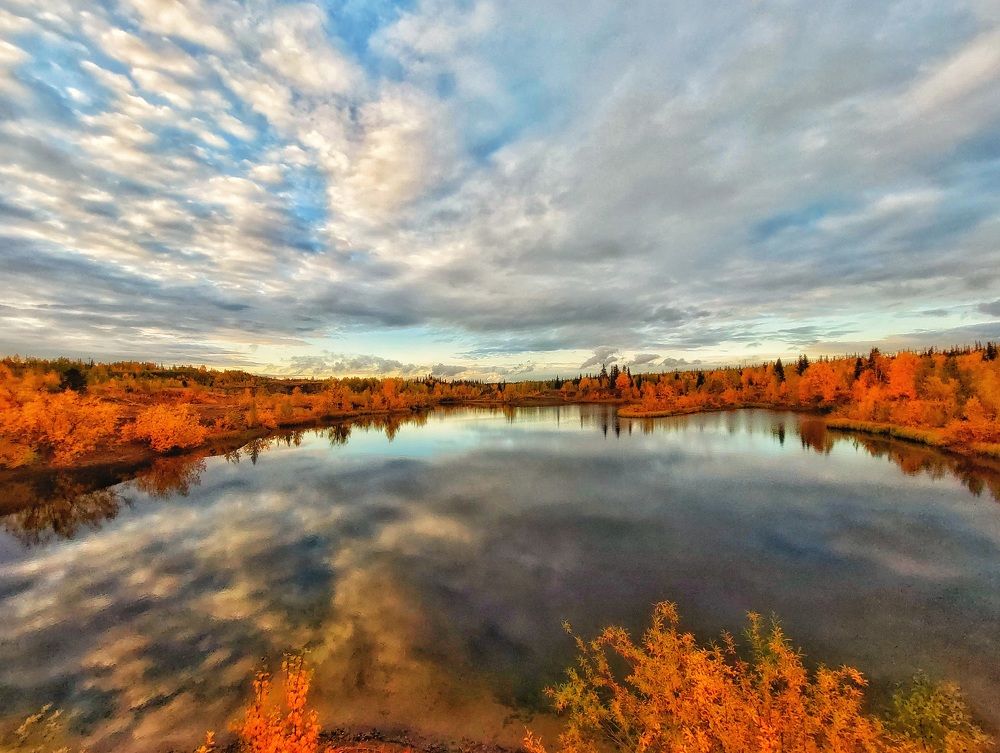 Photograph by Александр Бакин