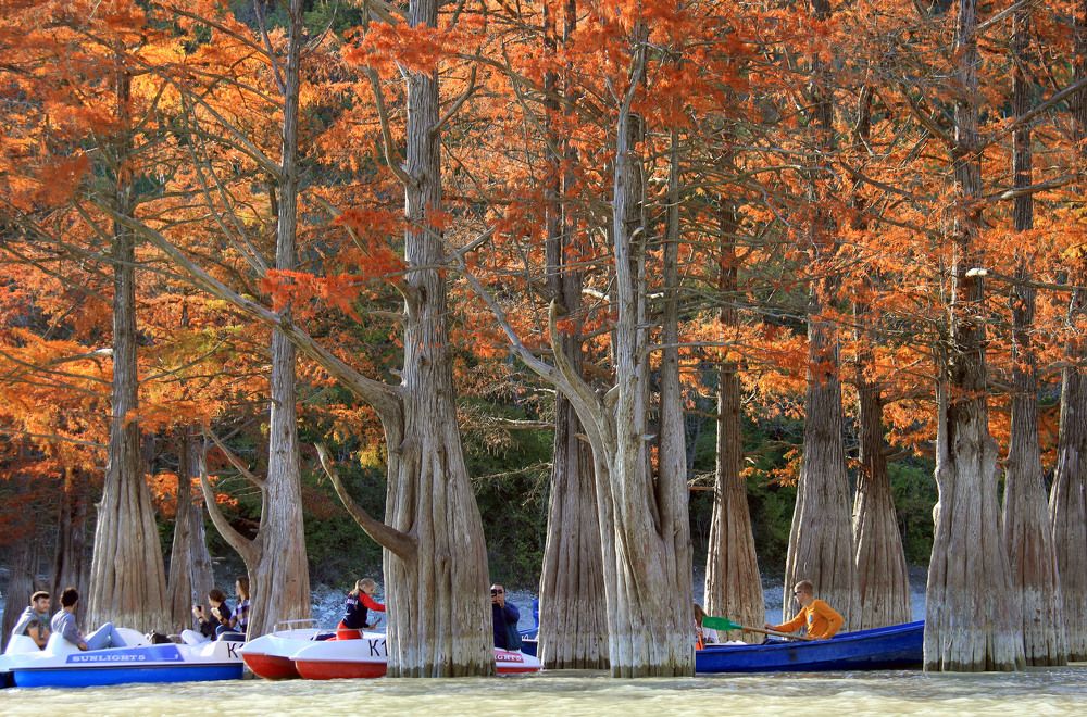 Photograph by Елена Титова