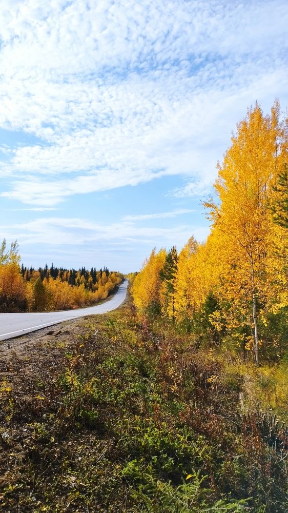 Photograph by Татьяна Власова