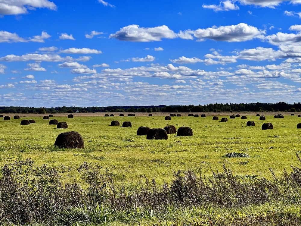 Photograph by Елена Ковалева