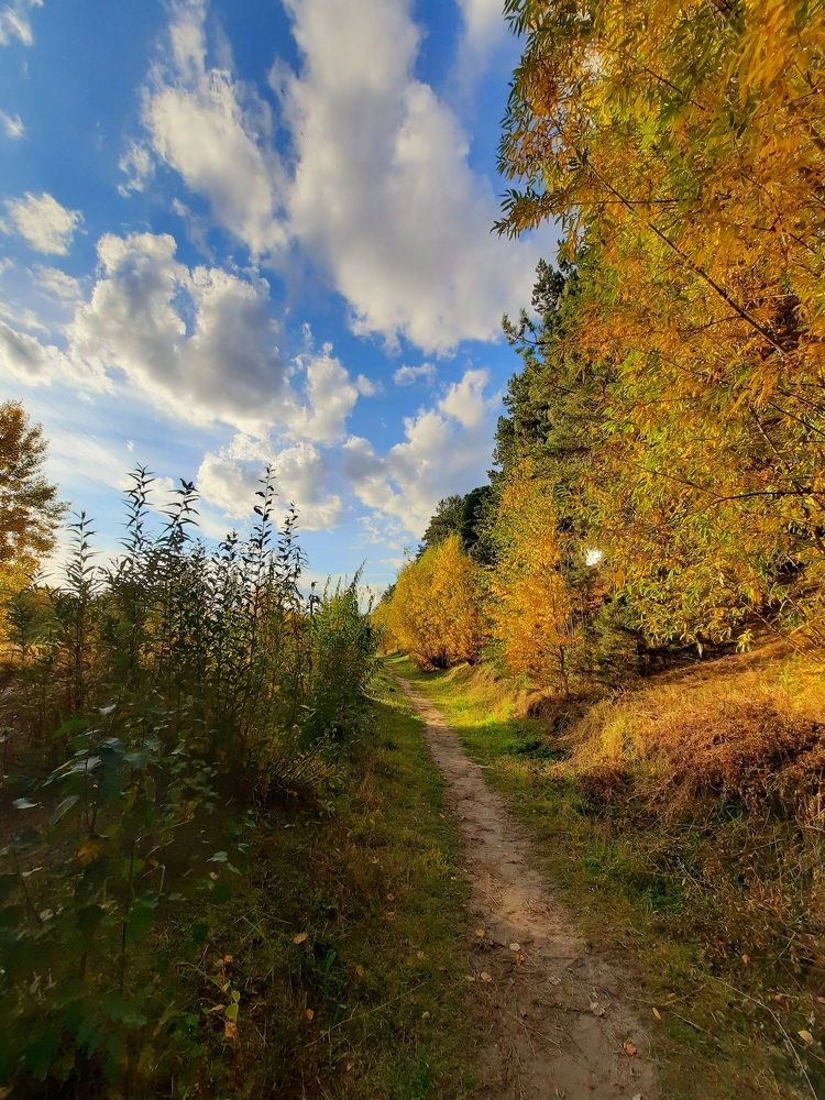 Photograph by Людмила Е.