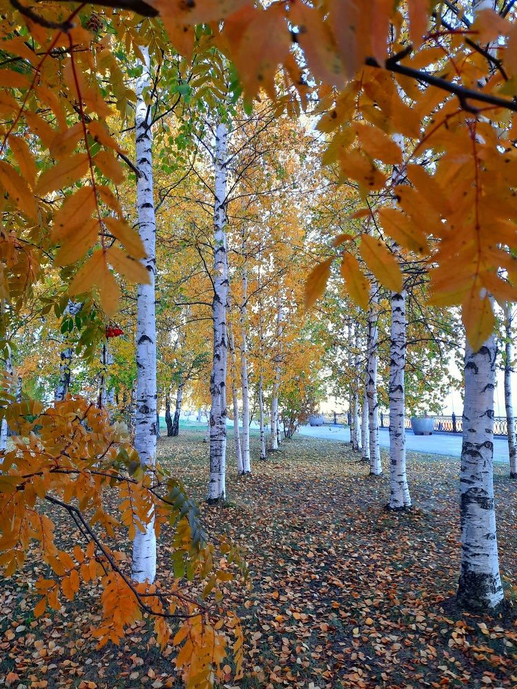 Photograph by Людмила Е.