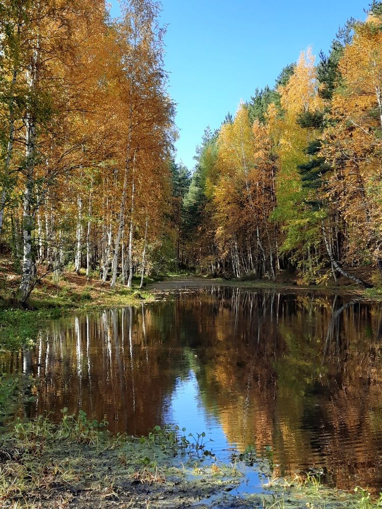 Photograph by Людмила Е.