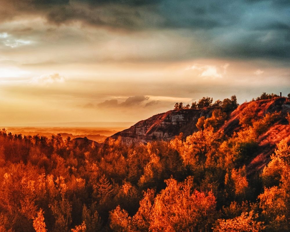 Photograph by Дмитрий Кашиков