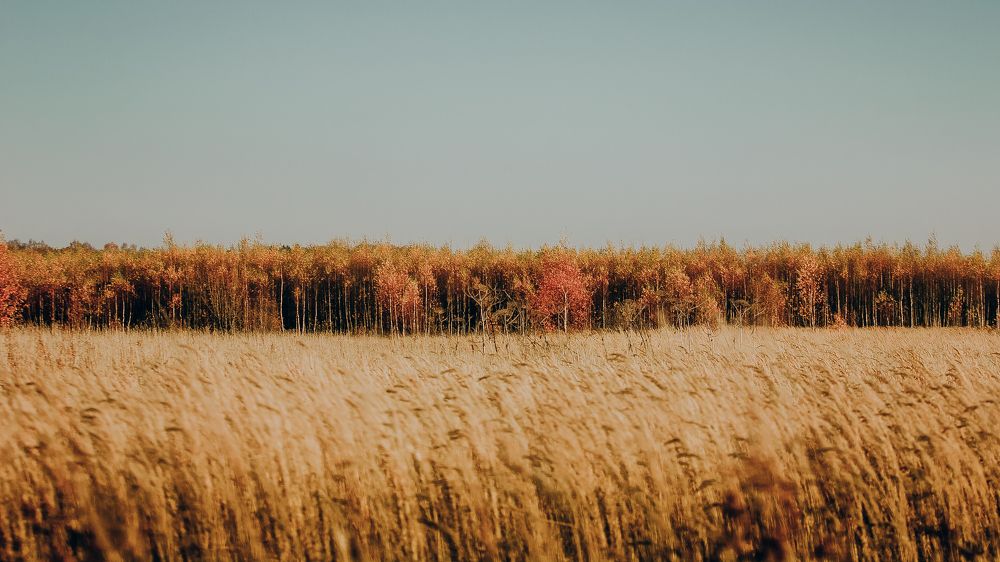 Photograph by Сергей Добрин