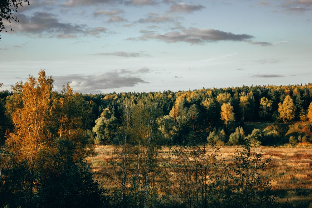 Photograph by Сергей Добрин